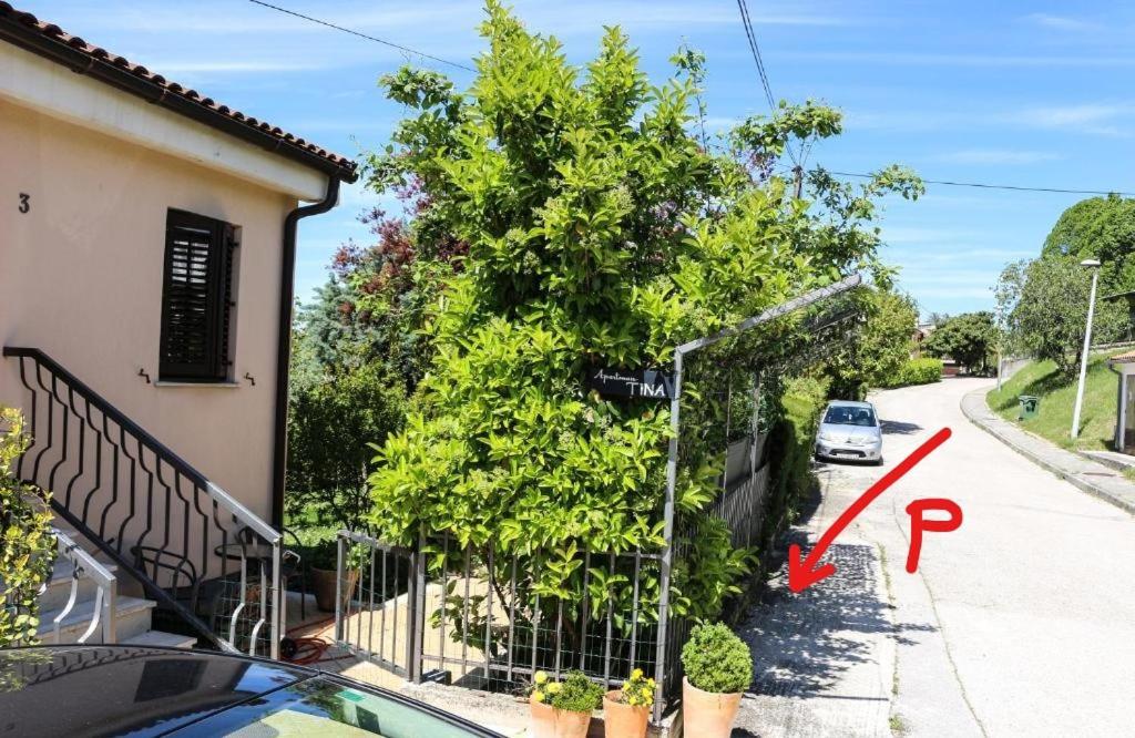 Apartment Tina Istra Бує Екстер'єр фото